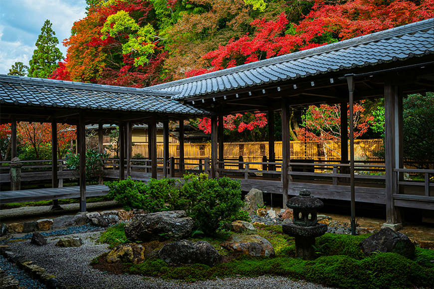 Traditional Kyoto temple garden with crimson maple leaves, stone lanterns, and raked gravel in autumn, one of the best places to see fall leaves in the world, by My Tailored Escape, boutique travel agency serving Washington DC, Maryland, Virginia and nationwide.